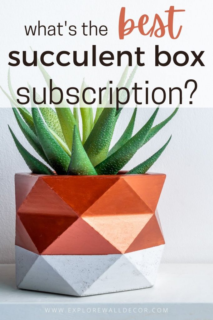 pin this image to share the list of best succulent subscription boxes