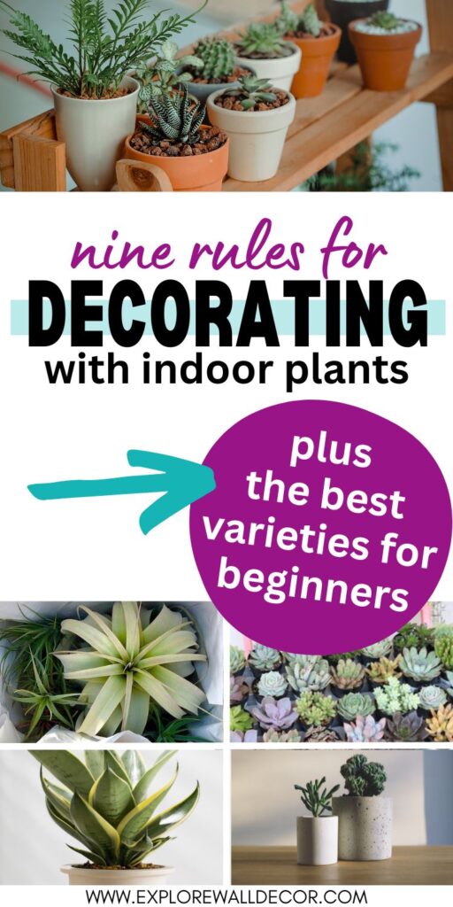 various plants; text that reads: nine rules for decorating with indoor plants: plus the best varieties for beginners