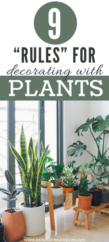 pin this image to share the 9 must-know rules for decorating with plants (and the best varieties for beginners)