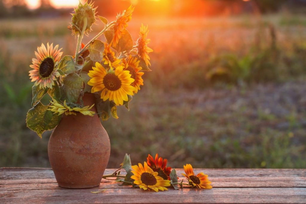 vase with sunflowers on an outdoor table