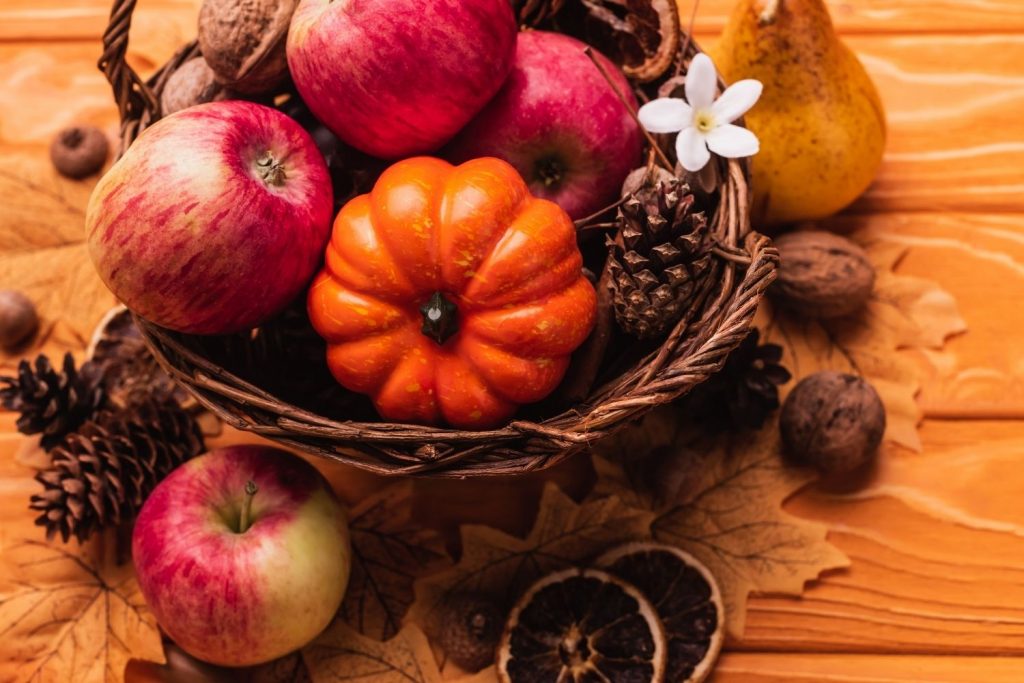 bowl with apples and pumpkins