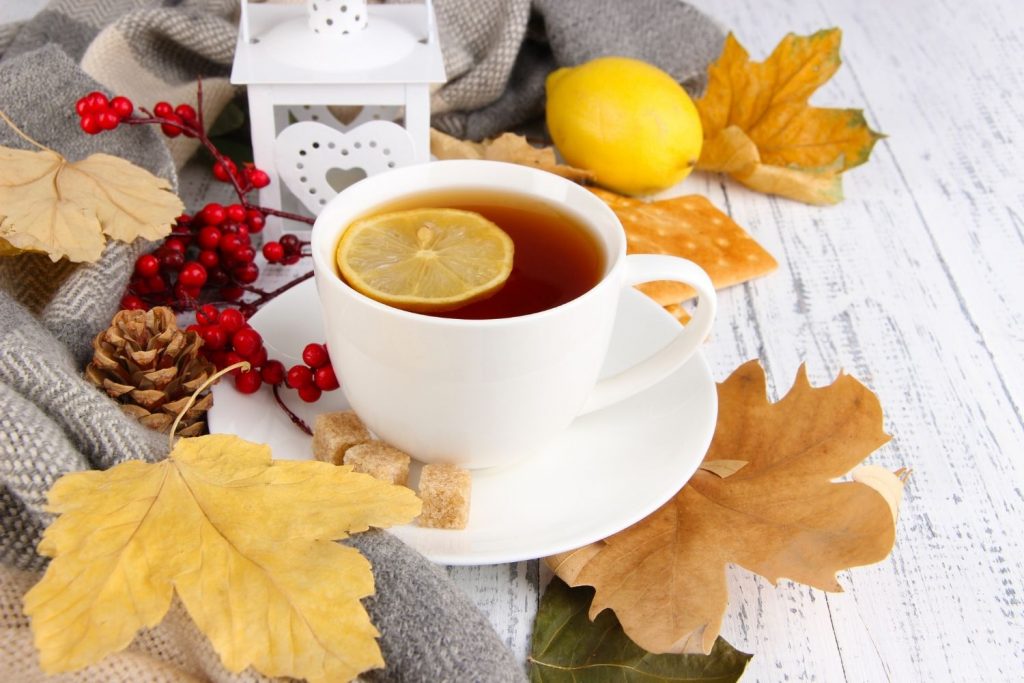 cup of tea with lemon surrounded by leaves and berries - featured image for article on autumn decor for the home