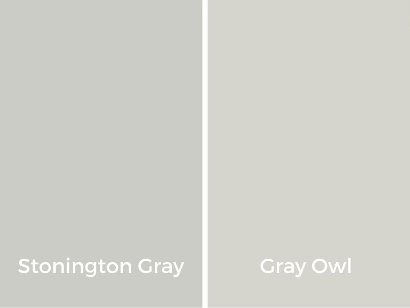 comparison of stonington gray and gray owl