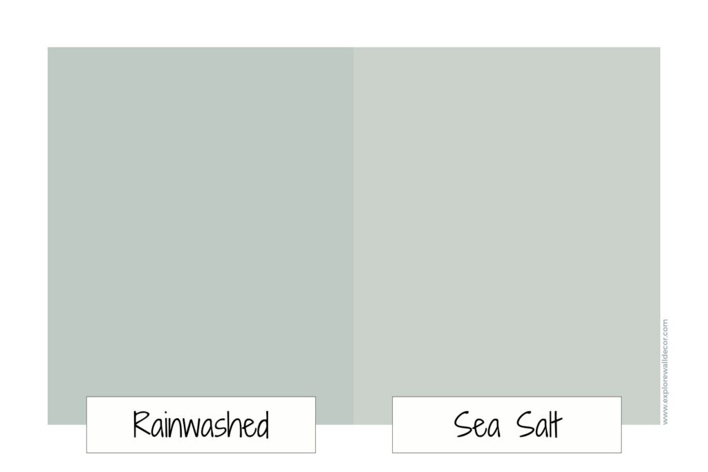 rainwashed vs. sea salt